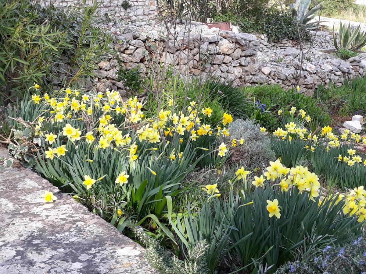 Holiday Home Villa Esperanca Veli Lošinj Dış mekan fotoğraf