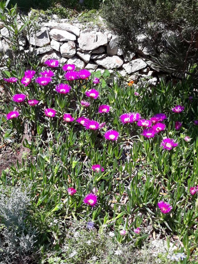 Holiday Home Villa Esperanca Veli Lošinj Dış mekan fotoğraf